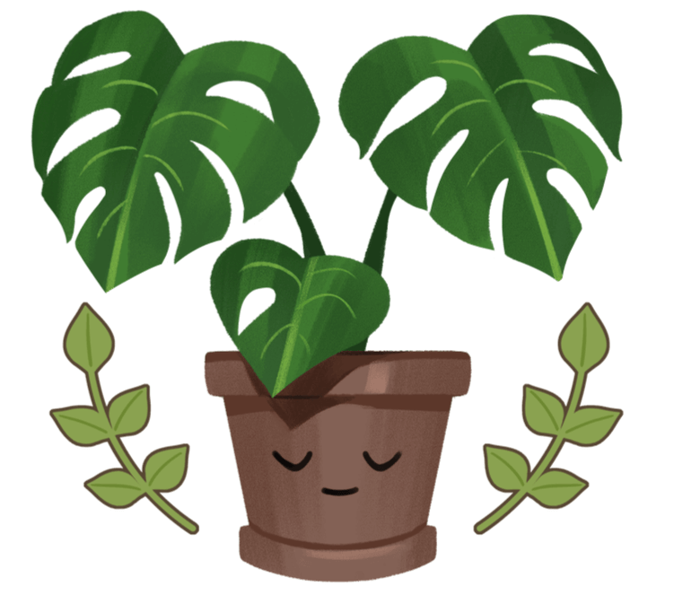 A Kinder World pot plant